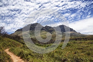 Pathway in mountains in south africa