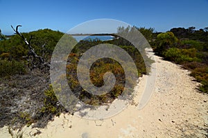 Pathway near Lake Thetis. Cervantes. Shire of Dandaragan. Western Australia. Australia