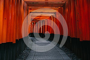 Pathway orii gates at Fushimi Inari Shrine at night and rain Kyoto, Japan