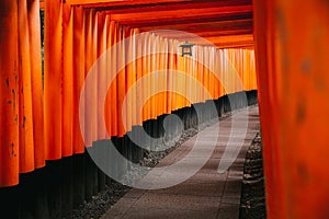 Pathway orii gates at Fushimi Inari Shrine at night and rain Kyoto, Japan