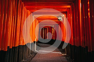 Pathway orii gates at Fushimi Inari Shrine at night and rain Kyoto, Japan