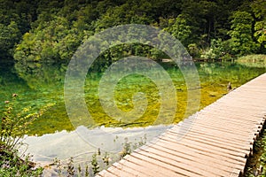 Pathway over the lake in Plitvice Lakes, Croatia