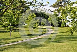 Pathway through park