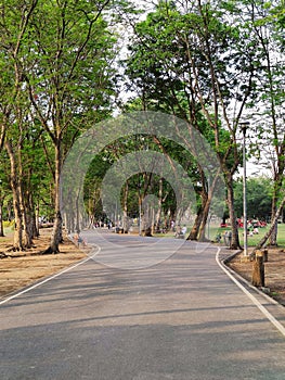 Pathway in the park.