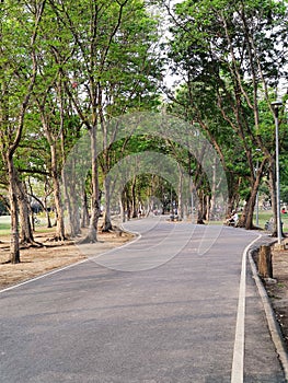 Pathway in the park.