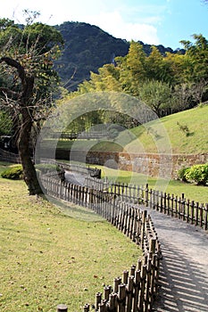 Pathway at Park