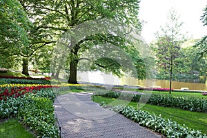 Pathway in park with green trees and beautiful flowers on sunny day. Spring season