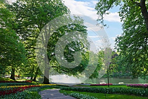 Pathway in park with green trees and beautiful flowers on sunny day. Spring season