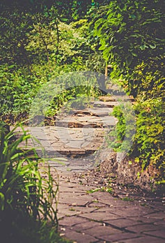 Pathway in a park