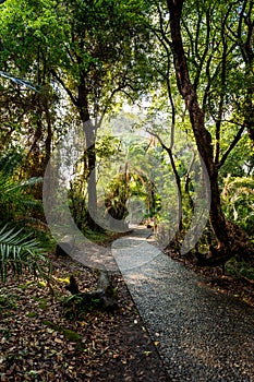 Pathway in a Park Victoria Falls, Zimbabwe in Spring