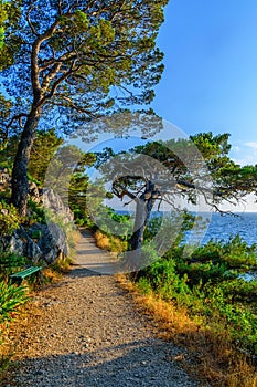 Pathway on peninsula Osejava in Makarska, Croatia