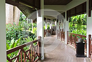 pathway with plentifully garden