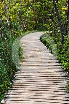 Pathway in Plitvice lakes park at Croatia