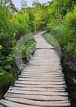 Pathway in Plitvice lakes park at Croatia