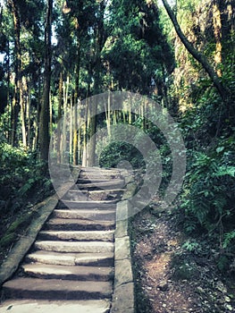 Pathway at Qingcheng Mountain, China