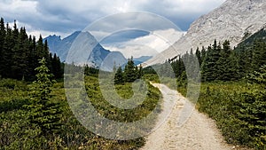 Pathway Into The Rocky Mountains Alberta Canada