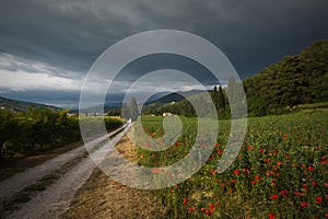 Pathway in the rural field during spring season with leaden and dark sky in Foligno