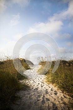 Pathway in sand dune to beach