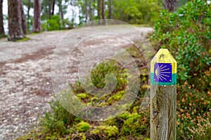 Pathway with shell sign of Camino de Santiago de Compostela routes for pilgrim