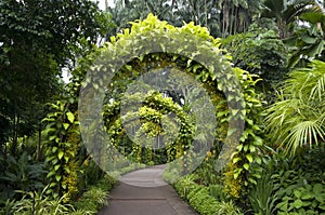 Pathway singapore botanic garden