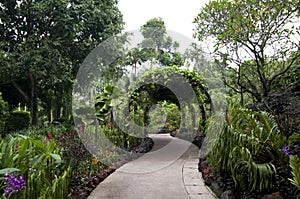 Pathway singapore botanic garden