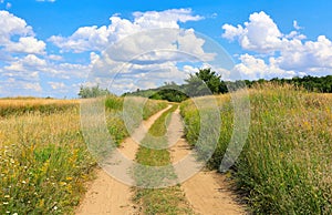 Pathway in steppe