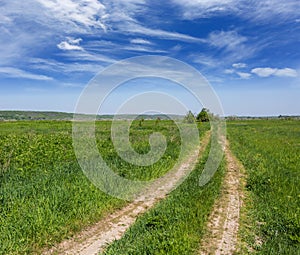 Pathway in summer steppe