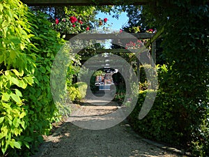 Pathway Through Sunlit Rose Arbors