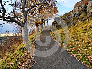 Pathway surrounded with grass captured in Tonsberg, Norway during the daytime