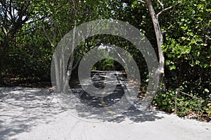 Pathway surrounded by green scenery in Sanibel Island, Miami, USA