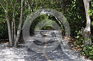 Pathway surrounded by green scenery in Sanibel Island, Miami, USA