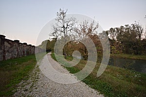 Pathway surrounded by greenery near the Serio river in Crema in Italy photo