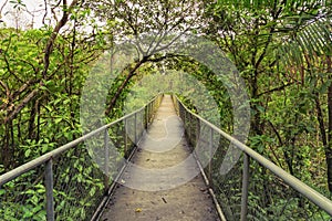 Pathway through Tenorio National Park