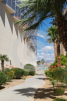 Pathway to the Aquarius Resort pool