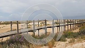 Pathway to the beach on Culatra Island in Ria Formosa, Portugal