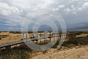 Pathway to the beach on Culatra Island in Ria Formosa, Portugal