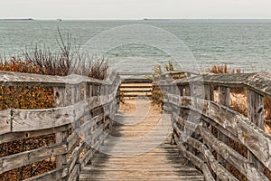 Pathway to Beach with Ocean at First Landing State Park