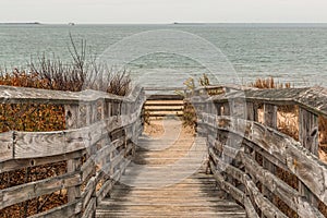Pathway to Beach with Ocean at First Landing State Park photo