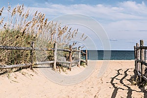 Pathway to Beach with Wooden Fence at Sandbridge