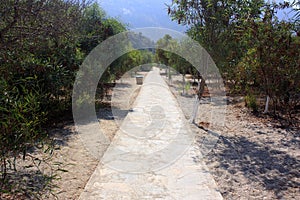 Pathway to the blue lagoon