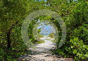 Pathway to a Gulf Of Mexico beach in Naples,