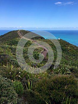 Pathway to lighthouse at Cape Reinga, Northland, New Zealand