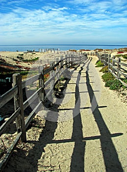 Pathway to Ocean on Monterey Bay