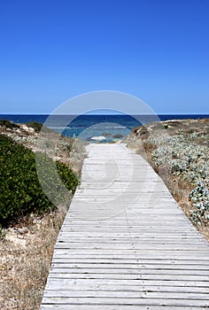 Pathway to the sea photo