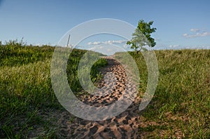 Pathway to the Shore of Lake Superior