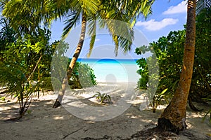 Pathway to tropical beach