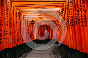 Pathway orii gates at Fushimi Inari Shrine at night and rain Kyoto, Japan