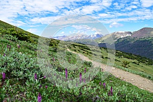 Pathway towards the Never Summer Mountains in Colorado