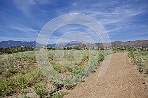 Pathway towards Pike`s Peak