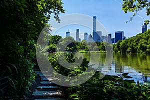 NYC Central Park photo